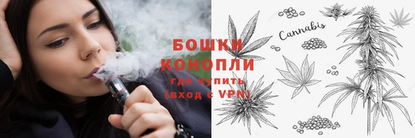 гидропоника Белокуриха