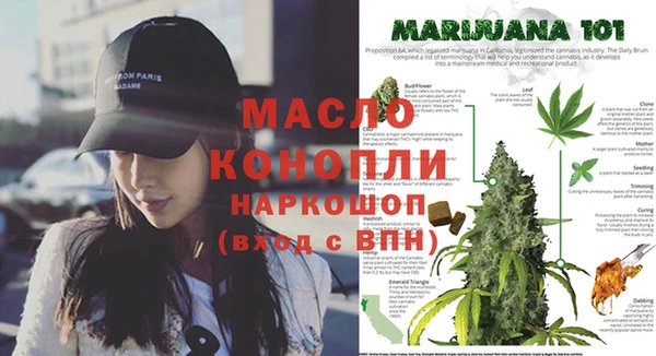 гидропоника Белокуриха