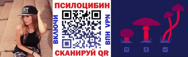 Псилоцибиновые грибы ЛСД  даркнет телеграм  Болотное  купить наркотик 