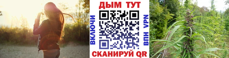 Шишки марихуана гибрид  Болотное 